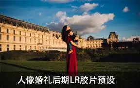 [胶片预设-lr预设]美国人像摄影师TwylaJones胶片婚礼人像色调Lightroom预设Volume 2 Presets
