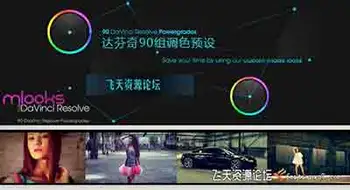达芬奇90组调色中文预设+17v5Looks经典预设