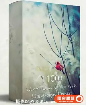 1100风景摄影仙境自然包Lightroom预设合集 Nature Pack Lightroom