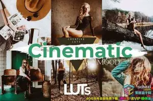 [LUTs预设]10组Vlog视频博主电影情调后期剪辑LUTs预设 CINEMATIC MOOD LUTS
