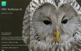 ON1 NoNoise AI 2022 16.0.1 AI降噪软件/PS滤镜