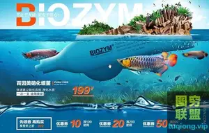 高高手[侯帅] 电商主图·直通车图设计教程