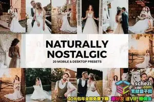 [人像预设-lr预设][婚礼] 20组自然怀旧婚礼人像Lightroom预设