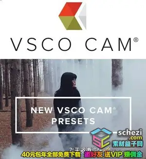 [胶片预设-lut预设]100个日系胶片质感小清新3D LUTs预设 VSCO CAM Presets in LUTs