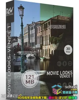 [LUTs预设]RAWexchange-30个专业80年代电影色调视频调色3D LUTs预设下载