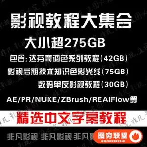 影视后期剪辑视频制作教程 达芬奇调色教程+AE+ZBrush+Realflow