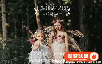 家庭儿童欢乐时光第二季Lightroom预设+手机版LR预设 Happy Hour 2