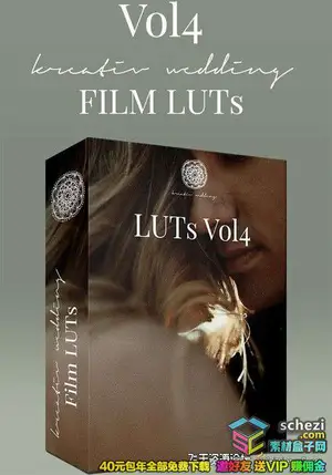 [婚礼预设-lut预设]高端婚礼视频调色LUTs预设-Kreativ Wedding LUTs Vol4 (Win/Mac)