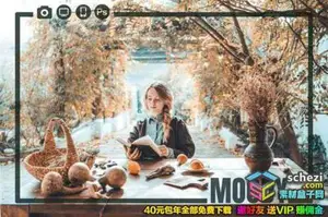 [人像预设-lut预设][人像] INS流行莫兰迪人像预设/LUT预设