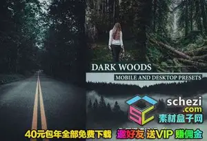 [胶片预设-lr预设][风景] 森系黑暗情绪电影胶片风光后期Lightroom预设/手机版
