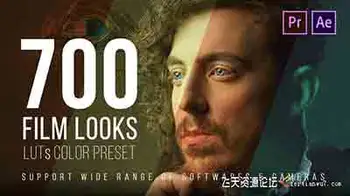 700个专业电影级色彩LUT预设|适合婚礼肖像时装风景广告视频调色LUT预设