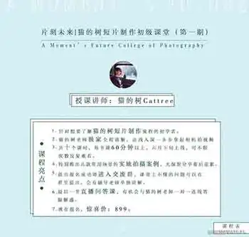 《猫的树》|短片视频(微电影)拍摄制作初级