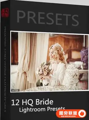欧美新娘婚礼Lightroom预设 12 HQ Bride Presets