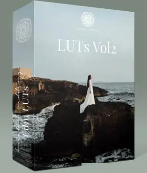 [人像预设]飞思婚礼人像预设第二季-Capture One Pro