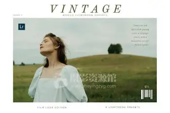 [婚礼预设-lr预设]复古胶片婚礼人像手机DNG格式Vintage Mobile Lightroom