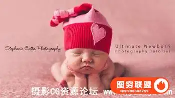 The Ultimate Newborn Photography & Posing Tutorial