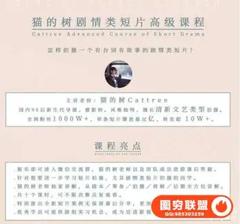 猫的树剧情类短片高级课程