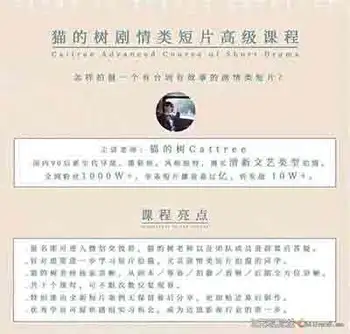 猫的树剧情类短视频高级短片拍摄后期教程