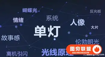 蜂鸟 大石 闪光灯你真的会用吗46节课