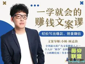 一学就会的赚钱文案课,轻松写出爆款,销量翻倍(完结)