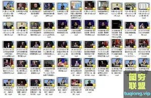 李玫瑾育儿心理学视频全集(51集)