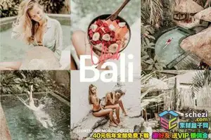 [胶片预设-lr预设][人像] INS风莫兰迪巴黎旅拍胶片Lightroom预设