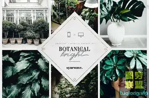 5个植物Lightroom预设Botanical Lightroom Presets