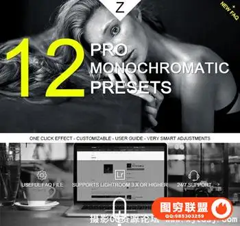 经典单色黑白电影级Lightroom预设 Monochromatic Pro Presets