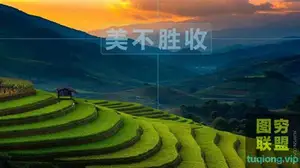 让你的照片美不胜收 5节