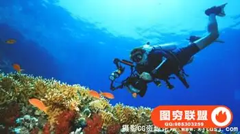 终极初学者指导水下摄影!