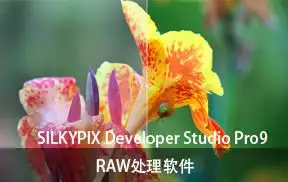 SILKYPIX Developer Studio Pro 10.0.16.0汉化版 win+mac