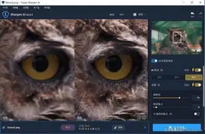 ps插件Topaz Sharpen AI V2.2.4汉化版|AI人工智能聚焦防抖清晰锐化PS插件-支持PS2021-ps滤镜插件