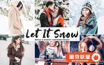 冬季梦幻童话明亮人像LR预设/APP预设 Let It Snow Lightroom Presets