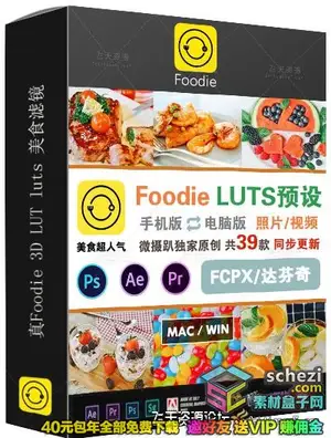 [日系|网红-lut预设]原创真Foodie转3D LUT luts 美食小清新滤镜PS PR AE fcpx/预设
