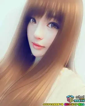 PS真人照片转手绘中文视频教程