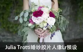 [婚礼预设-lr预设]Julia Trotti婚纱胶片人像Lightroom预设 The Wedding Collection Presets