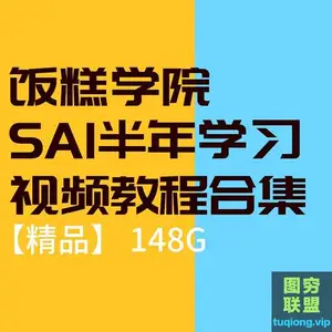 [基础教程] 饭糕学院SAI半年学习视频教程合集 148G