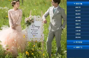 内置多款预设一键调色插件-青鸟 WIN/MAC