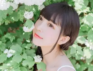 [lr预设]550款日系小清新人像lightroom预设