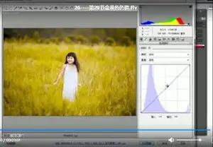 价值299元的儿童照片调色教学