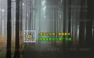 [风光预设-lr预设]艺术大师风光后期Lightroom预设