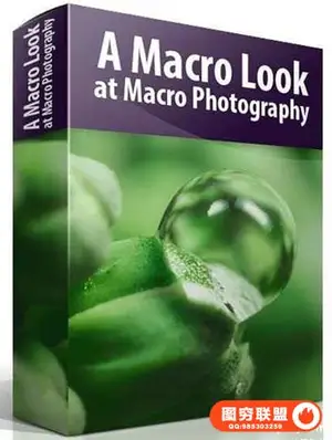 Blake Rudis – A Macro Look at Macro微观风景摄影附带素材