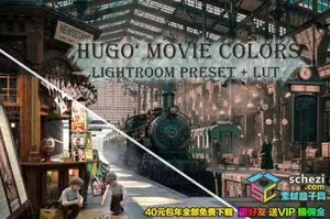 [胶片预设-lut预设][胶片] “雨果”电影色彩分级+LUT预设