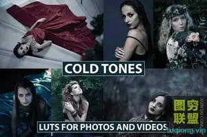 5个冷酷黑暗风格电影级LUTS照片视频调色预设Film Cold LUTS
