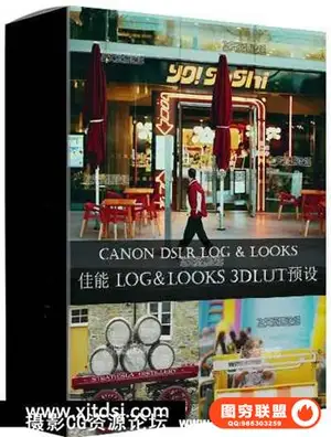 佳能 Canon DSLR LOG3 & LOOKS pf3 svipcuns +专业视频调色LUTs预设下载