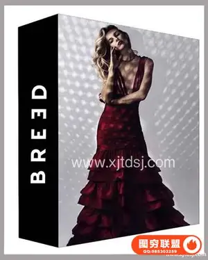 Breed – Fashion Photography: Working with Models人像摄影