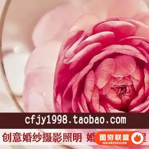 E201- 创意婚纱摄影照明 细节捕捉 婚礼摄影教程