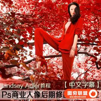 E140-琳西 Photoshop商业人像后期修图调色教程[中文字幕]