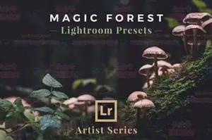 [风光预设-lr预设]艺术风景照片 Artist Series-Lightroom Bundle 03