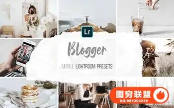 INS网红博客干净灰调手机版LR胶片 Mobile Lightroom Presets-Blogger
